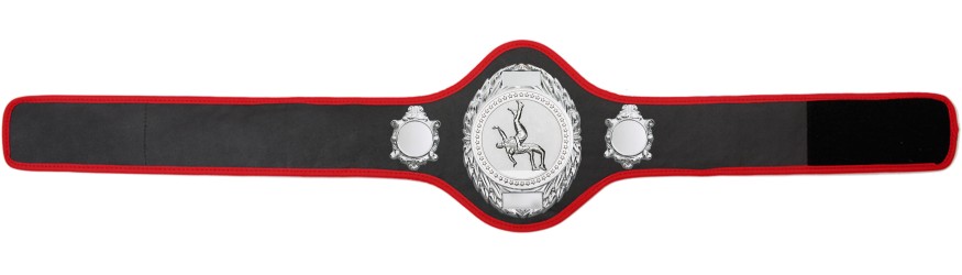 WRESTLING BELT-PRO286/S/WRESTS-10+ COLOURS